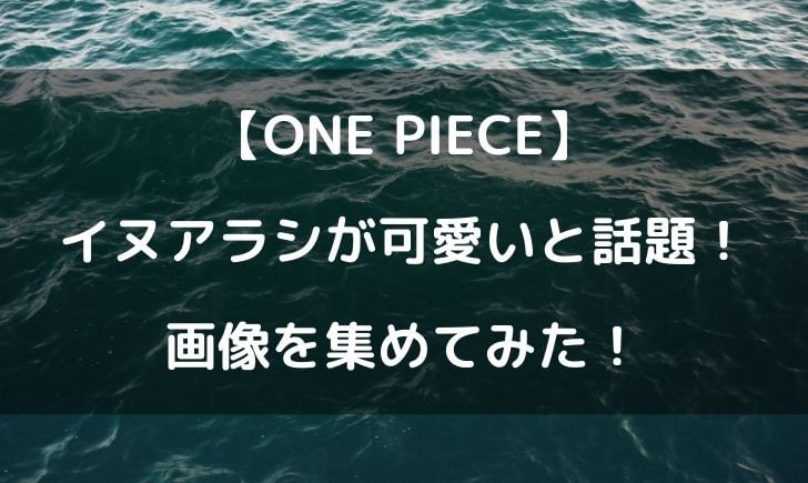 ワンピースのイヌアラシがかわいい 画像を集めてみた ｗ テレビっ子は今日もゆく