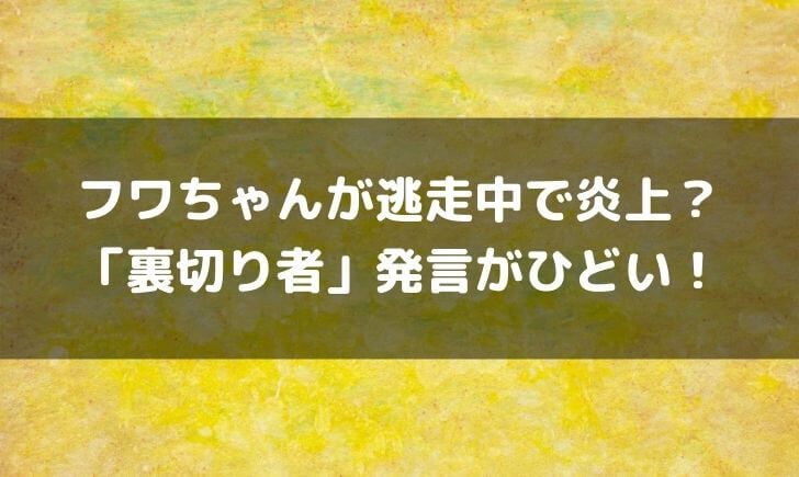 フワちゃん逃走中でうるさいと話題ｗ勝利に裏切り発言で嫌いと炎上 テレビっ子は今日もゆく